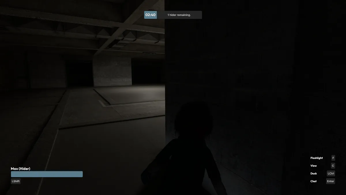 Hide & Seek media 4