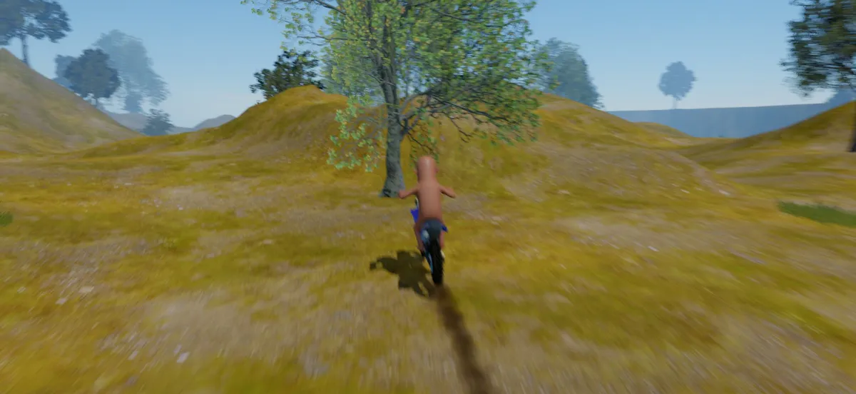 Dirtbike Freeroam