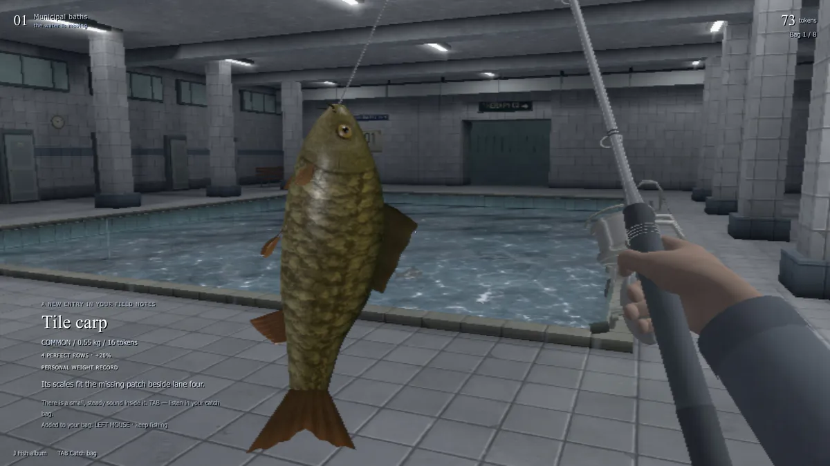 fishrooms media 3