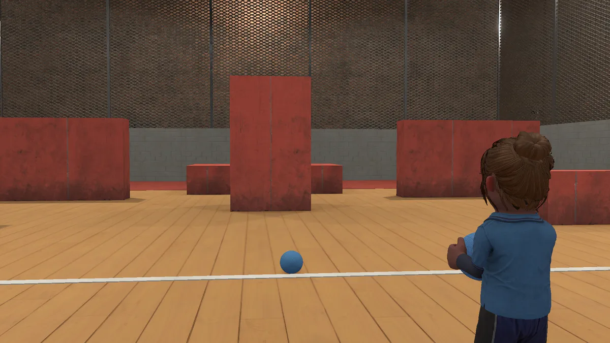 Balls Out media 9