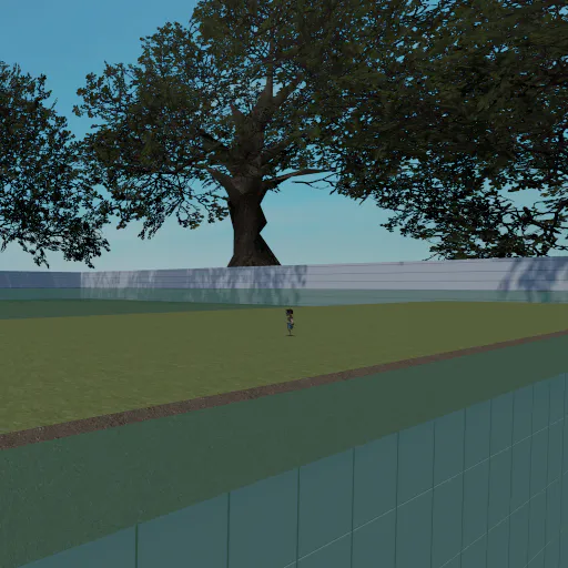 Giant Tree Box