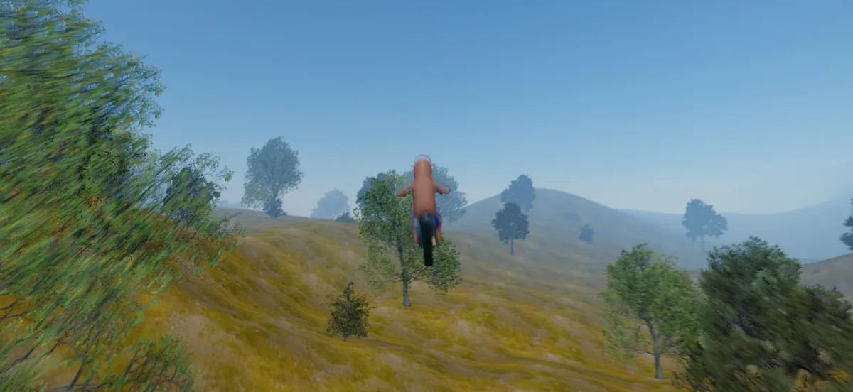 Dirtbike Freeroam media 4