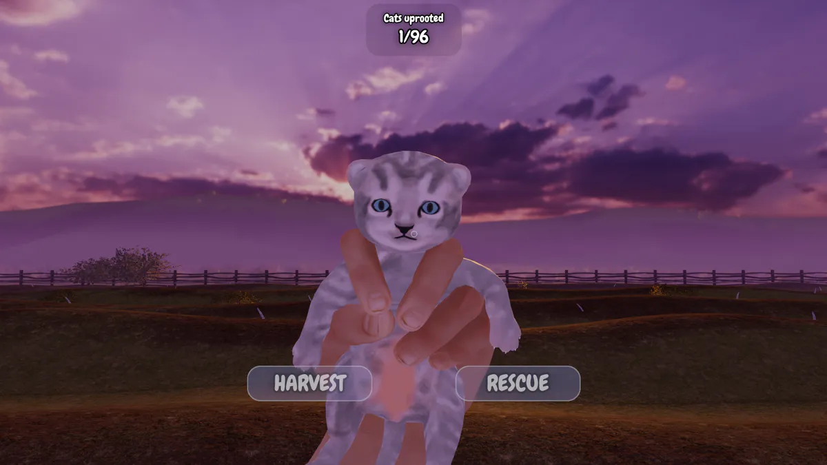 Cat Harvest media 4