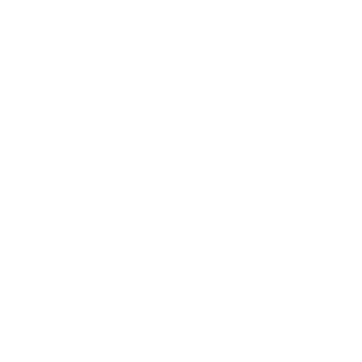 WitchCatLogoWhiteTrans.png