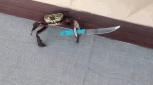 crab-knife.gif