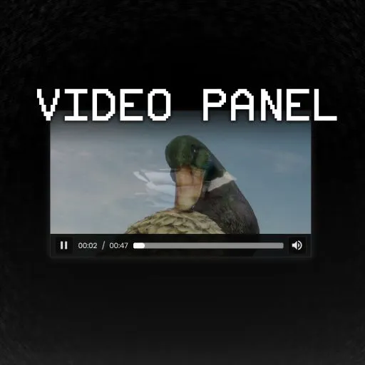 Video Panel