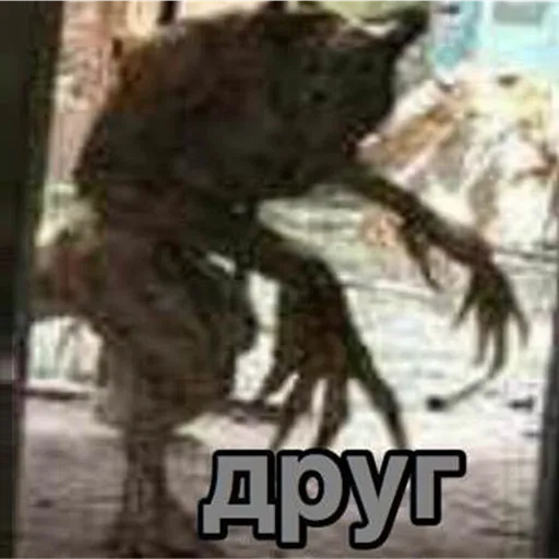 apyr logo