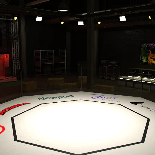 Boxing Ring