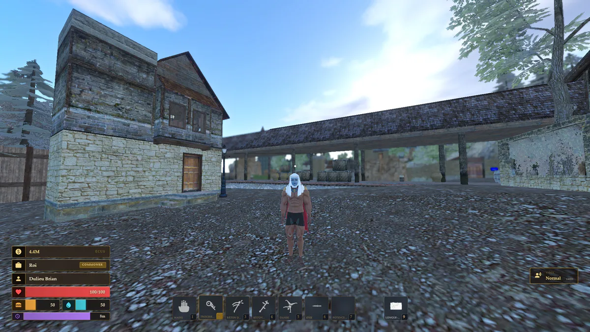 Medieval RP media 4