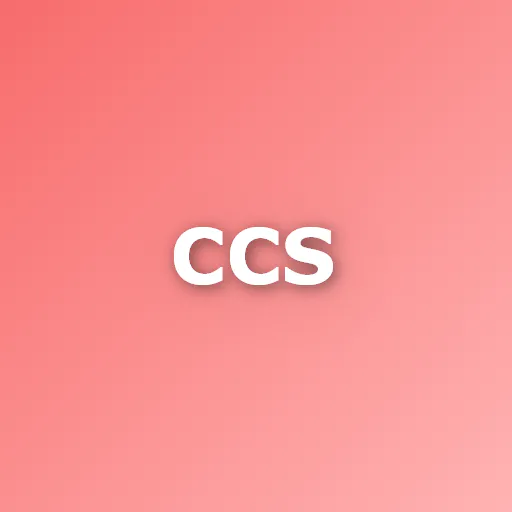 Carpet cleaning simulator
