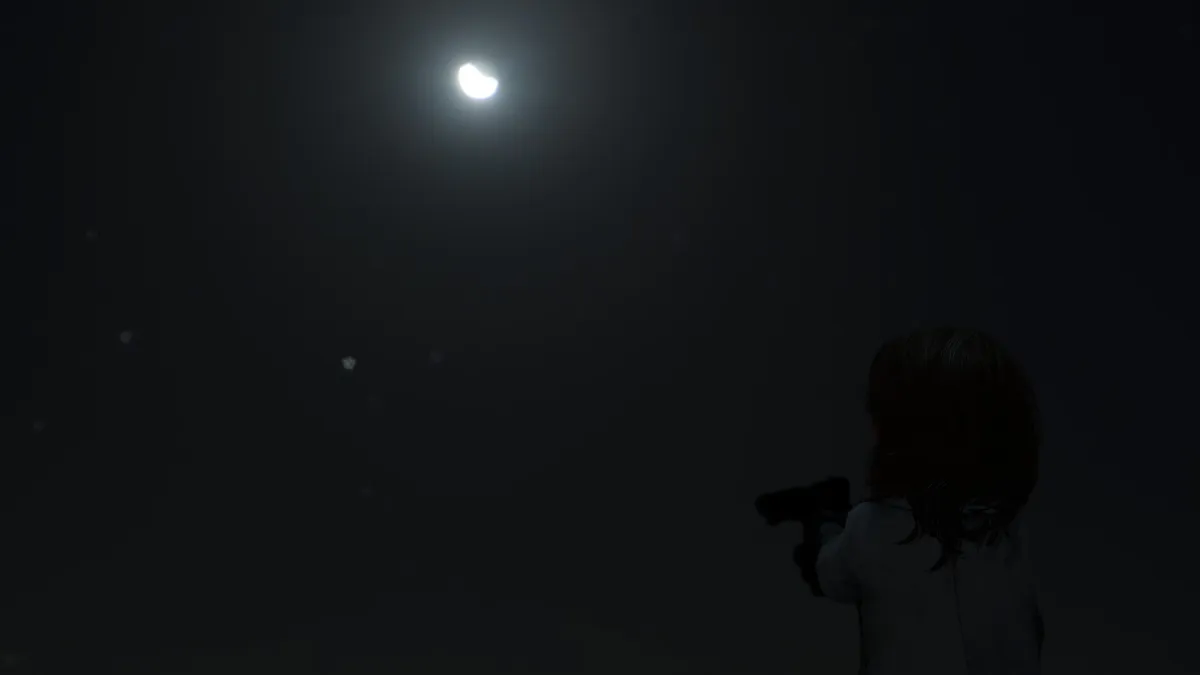 Flat grass - Night