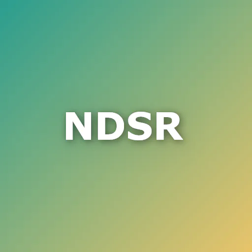 Natural disaster survival remake