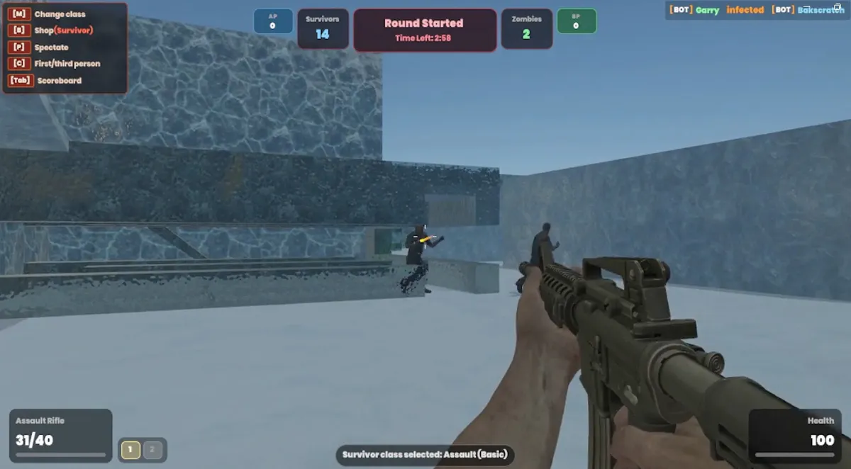 CS:Zombies +bots