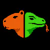 DuoHead logo