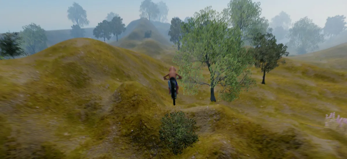 Dirtbike Freeroam media 3