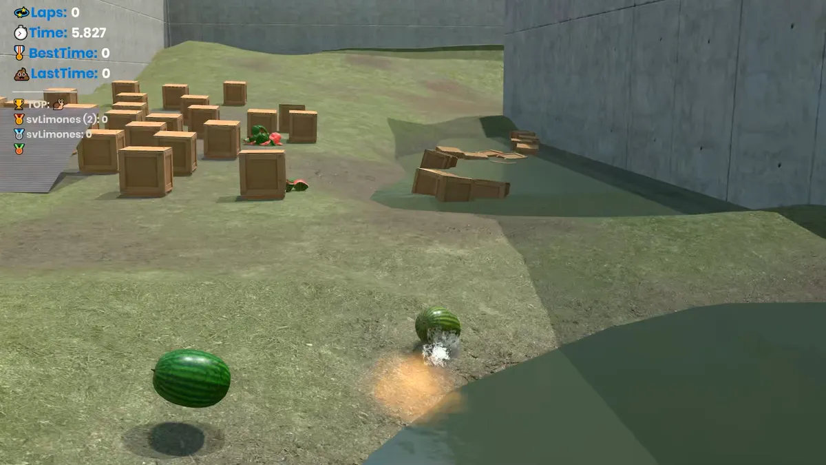 Fruit Racer