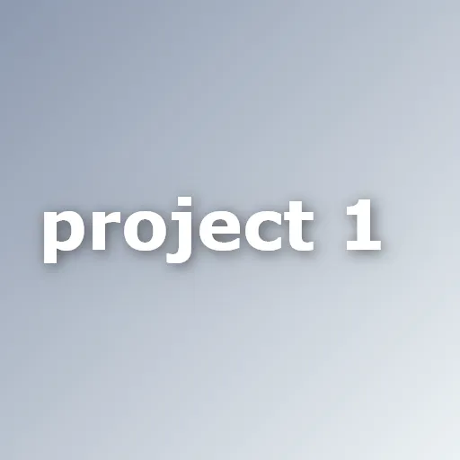 project1