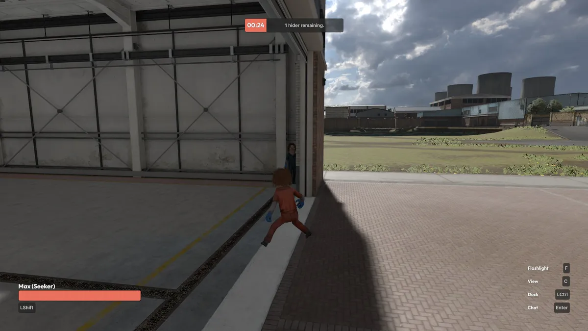 Hide & Seek media 3