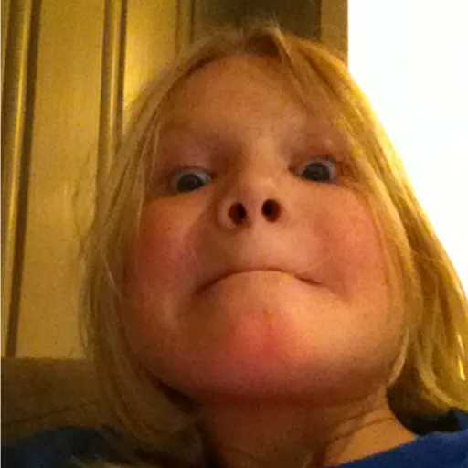 veesaus logo