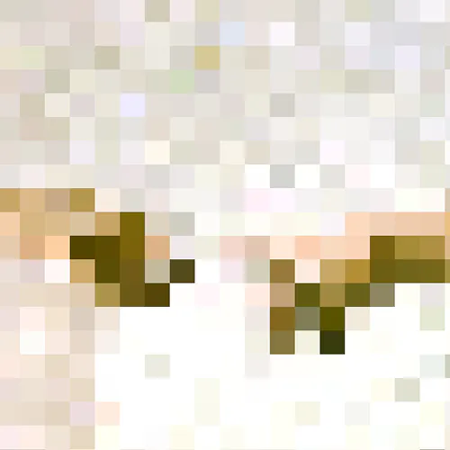 Oplot logo