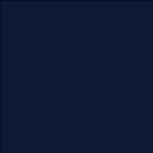 roxwize logo