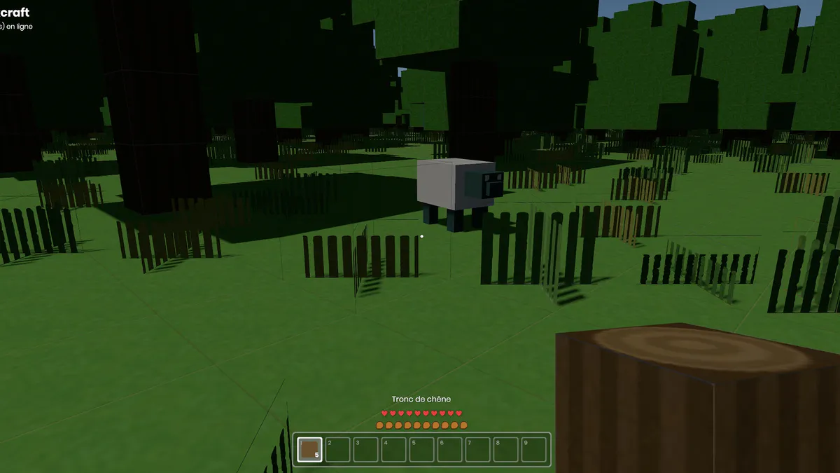 S&BoxCraft media 6