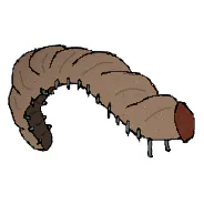Grubs logo