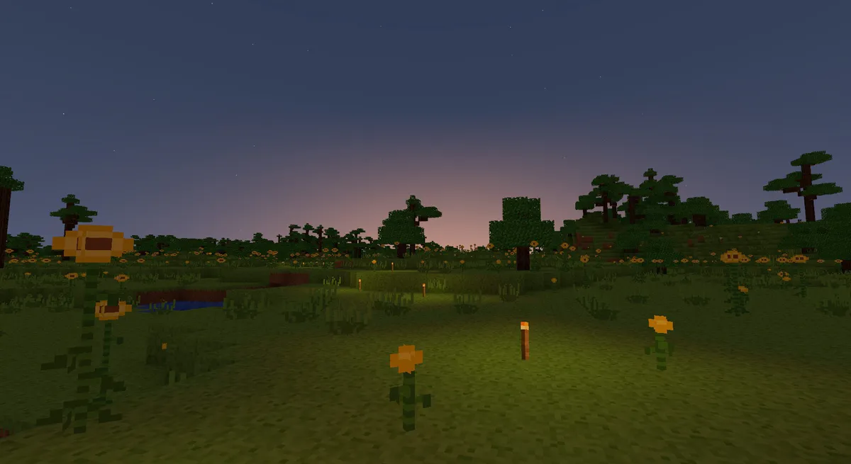 VoxelBox media 7