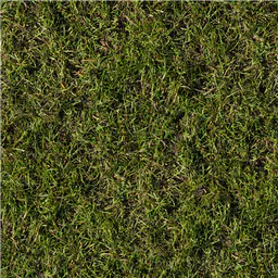 Grass thumbnail