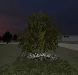 Gec Tree thumbnail