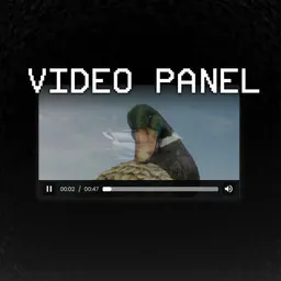 Video Panel thumbnail