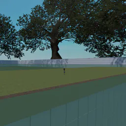 Giant Tree Box thumbnail