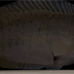 fish map thumbnail