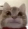 testing_amogus thumbnail