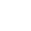 Struggler logo