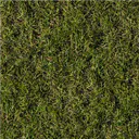 grassfield logo