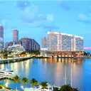 miaminights logo
