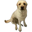 Morgan the Pooch Entertainment logo